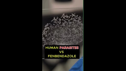 Ivermectin kills parasites
