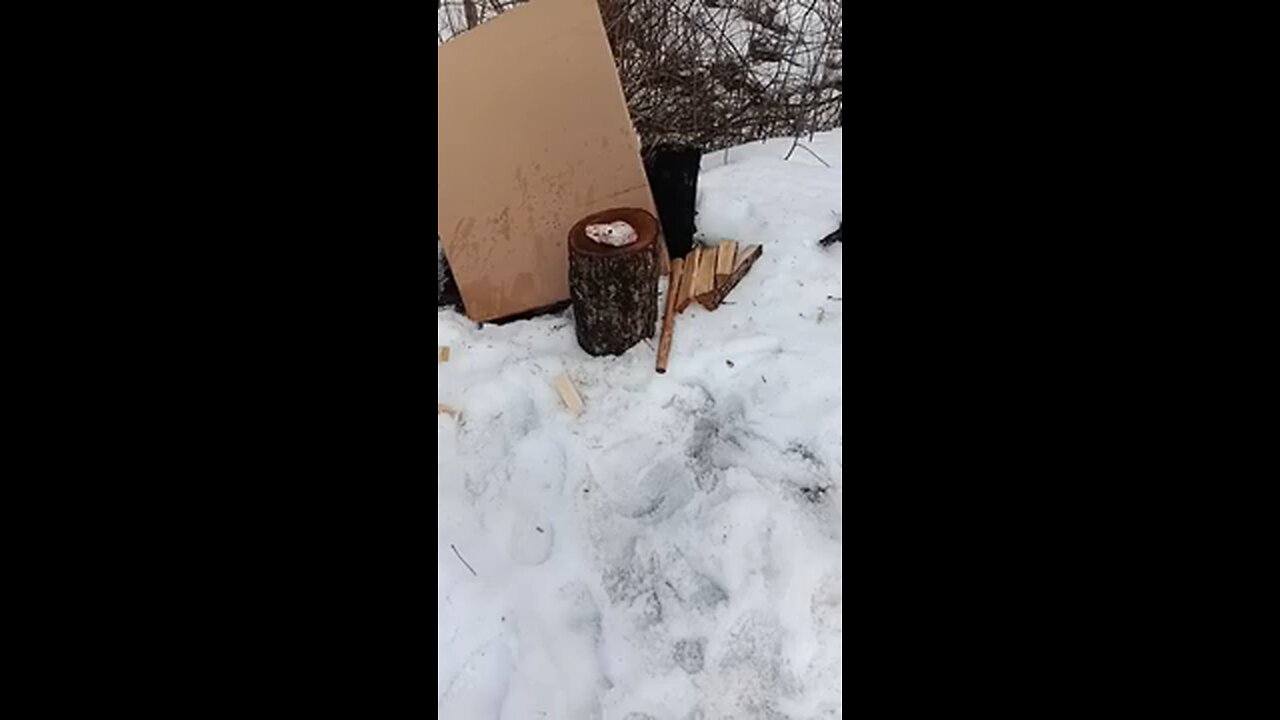 testing CCI quiet .22 segmented hollowpoint bullets