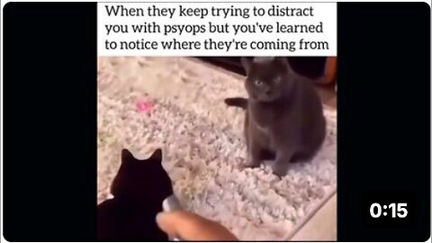 "Persistent PsyOps Distractions: They Won't Stop Trying"