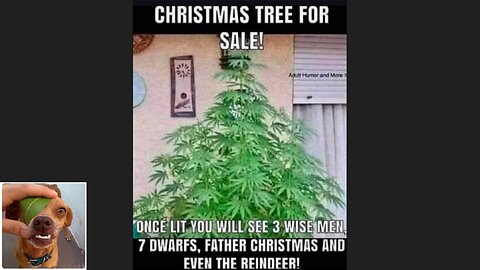 Memes That Will 99.0560% Make You Laugh. (e784)