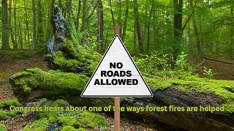 Rep Hageman shows why the roadless rule helps make forest fires worse