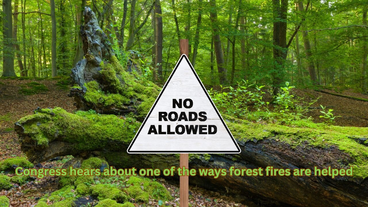 Rep Hageman shows why the roadless rule helps make forest fires worse