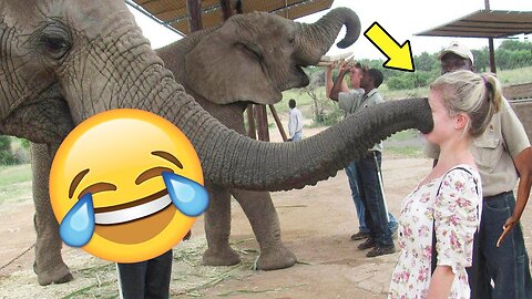 Funny Videos 🤣 People Being Idiots 😂 Funny failures