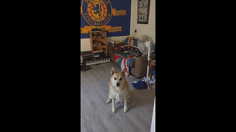 Even more demanding bully