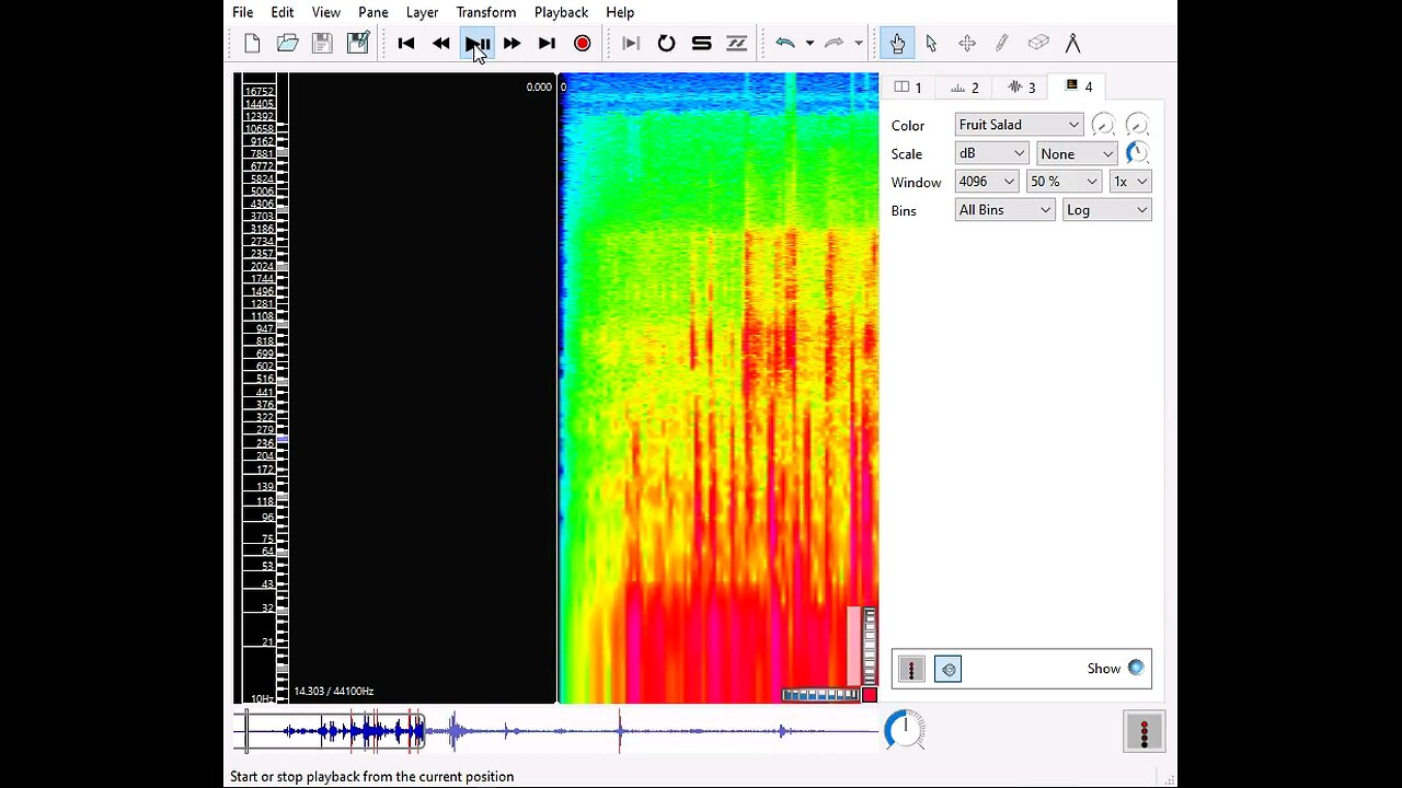 Tree Crash & More Whoops