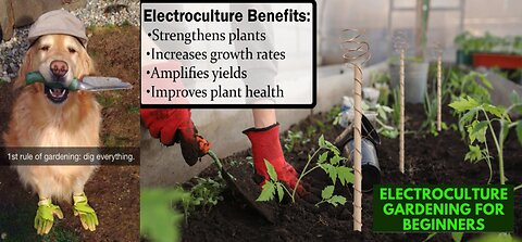ELECTRO-CULTURE INSTRUCTION - ELECTROCULTURE