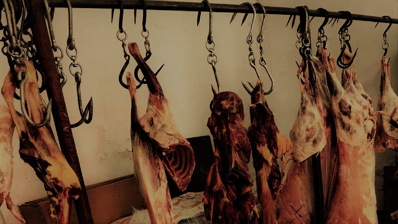 成华区, 一环路东三段148号