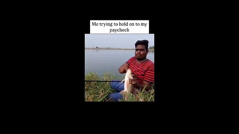 Funny Video