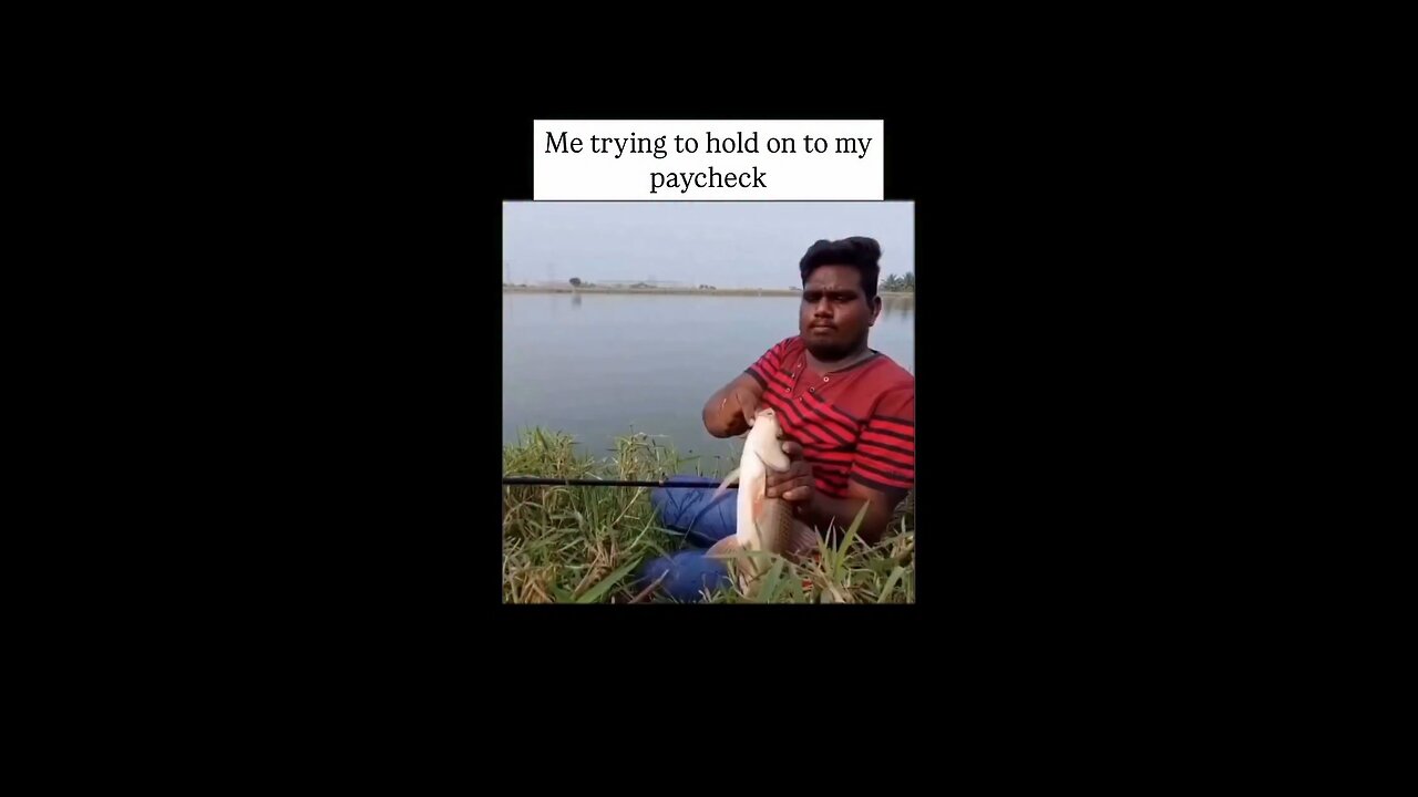 Funny Video