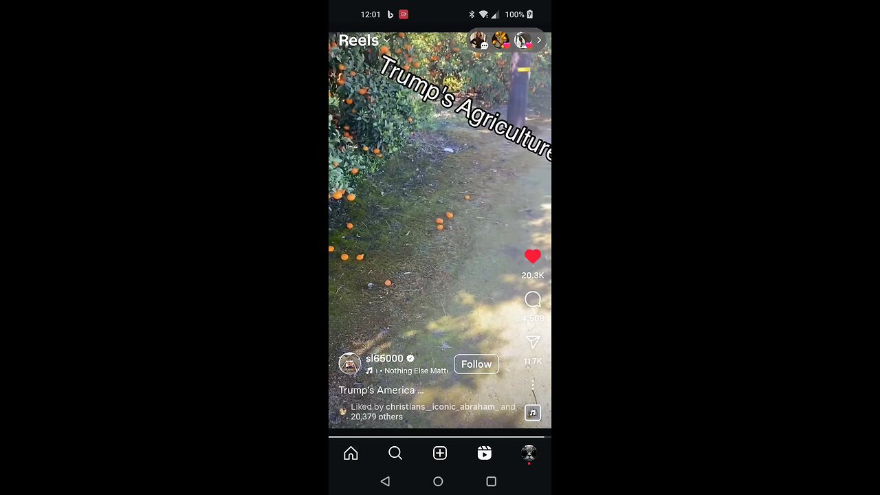 Trump Making America Great Again