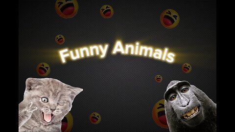 Animals on Crack: Funniest Moments You Can't Unsee!