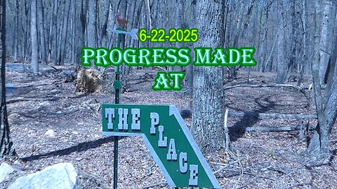 Cabin Progress Made At "The Place"