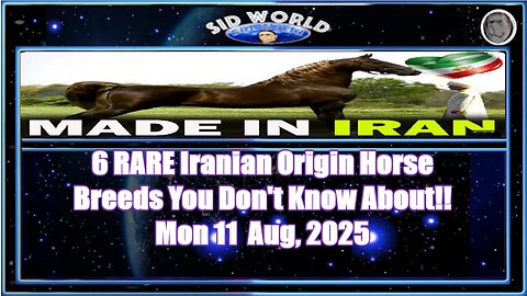 6 RARE Iranian Origin Horse Breeds You Don't Know About!!