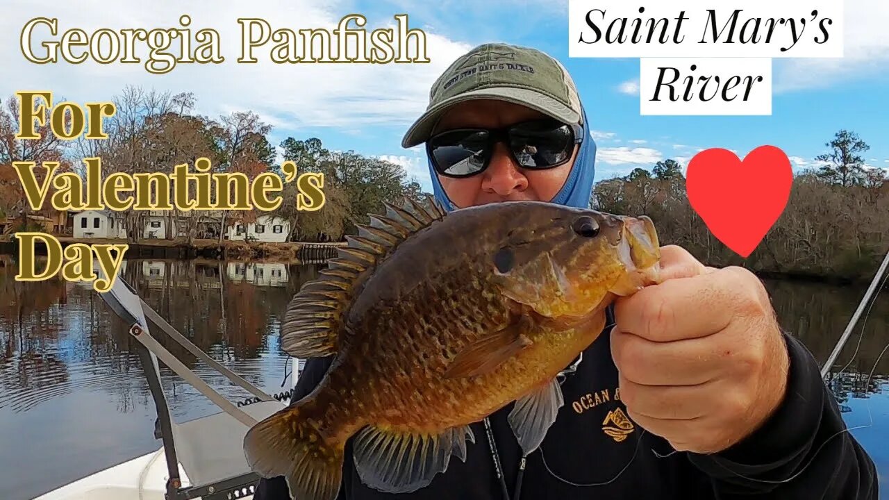 Fishing South Ga For Big Panfish