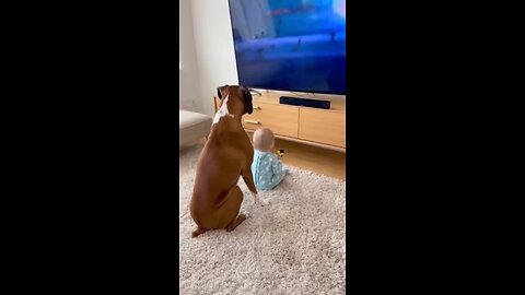 Just two best friends enjoying their favorite show 💙🐾 #BestBuddies #DogAndBaby #PureLove