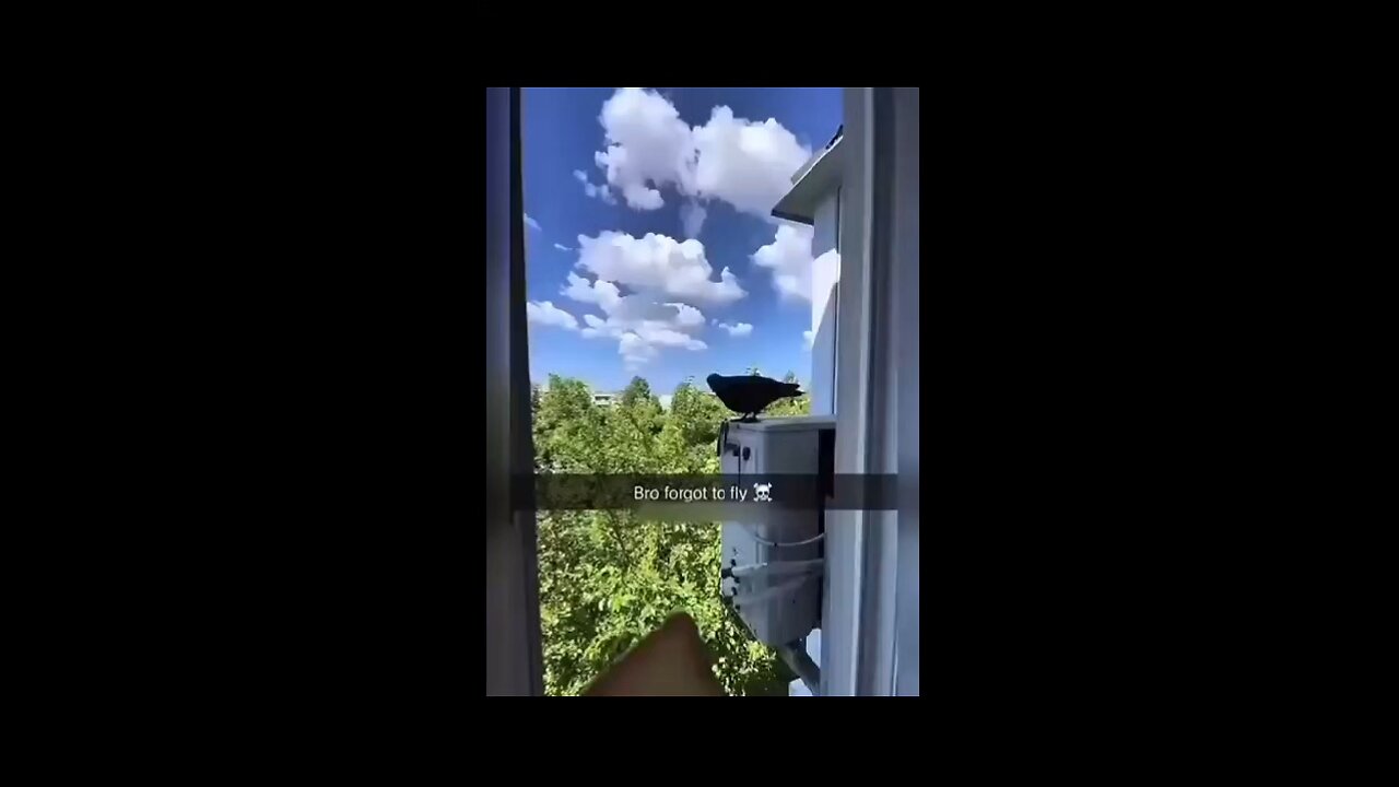 hmm bread must eat bread