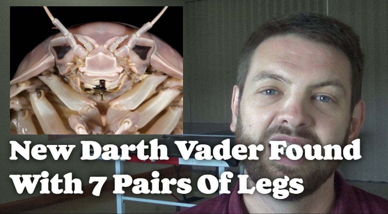 New Darth Vader Found With 7 Pairs Of Legs