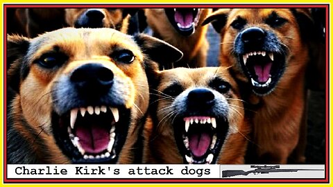 Charlie Kirk's attack dogs