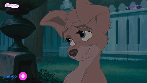 Angel the Puppy: The Movie | First Trailer [4K Ultra HD] | Marco Studios Distribution