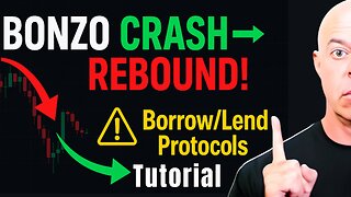 How Borrow & Lend Crypto Works + $BONZOs Price Crash and Rebound Revealed and Explained