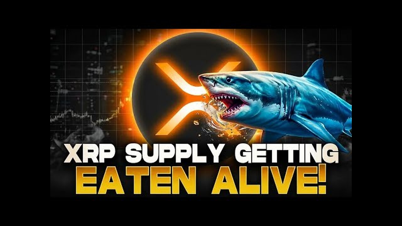 XRP Circulating Supply Is Dropping FAST! – Are ETFs Creating a Massive Supply Shock!