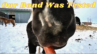 My HORSE Needed Me TODAY!