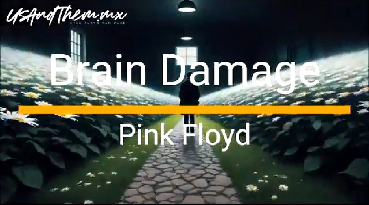 VAXXED BRAIN DAMAGE & PINK FLOYD - BRAIN DAMAGE (AUDIO REMASTERED) ☠️