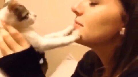 Animals Funny Clips