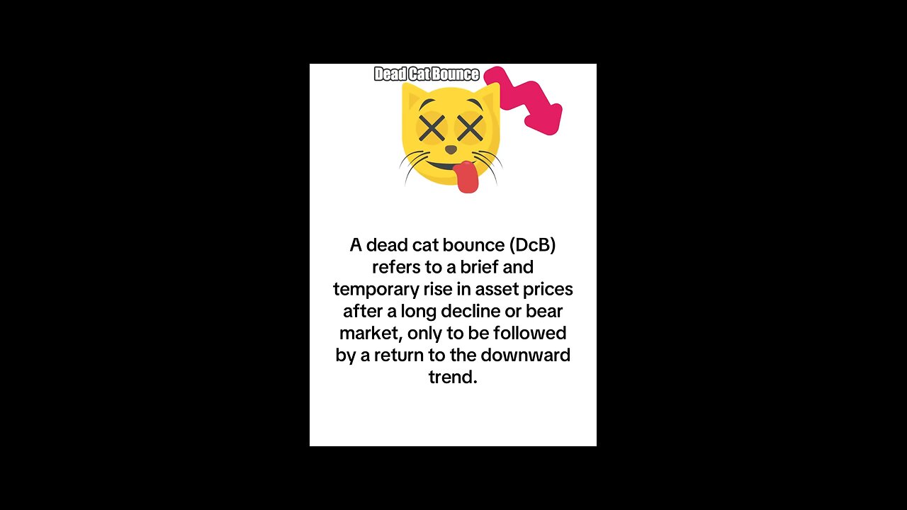 What is Dead Cat Bounce?
