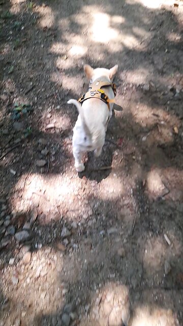 20250726. They will rejoice in the bounty of the LORD. Amen.