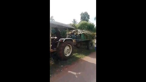 tamil video song