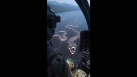 # GINAT TITABOA Chases Helicopter 🚁 in Amazon's Jungle