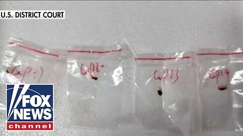 Chinese nationals charged with smuggling _devastating_ biological pathogen into US