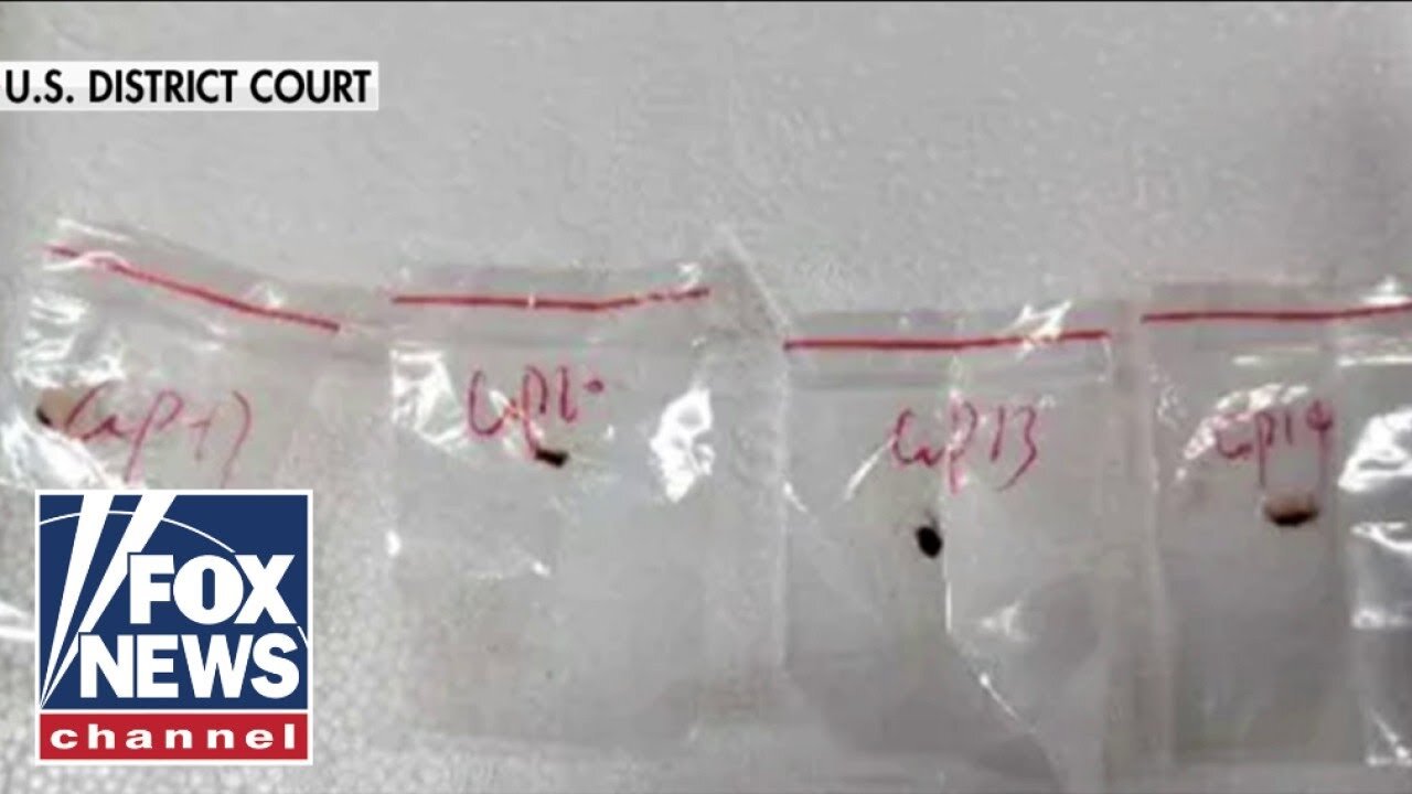 Chinese nationals charged with smuggling _devastating_ biological pathogen into US
