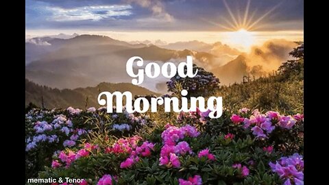 Good morning ☀️