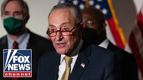 Dems in meltdown mode after Schumer folds in shutdown standoff: 'He caved'