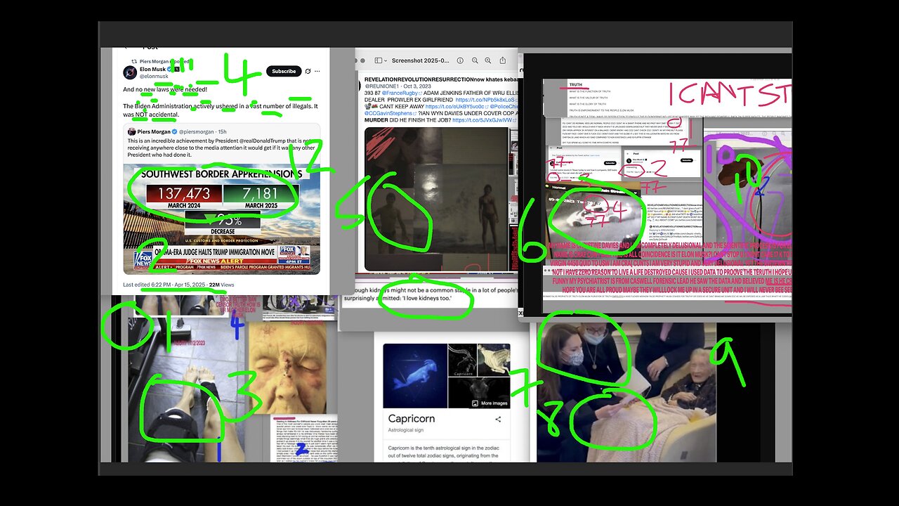 VIDEO 331 1/3 SKUM MUSK ELON MUSK SKWERERMIN FOR ILLEGAL LAW BUDDY HELP JUNGLE BOOK -090016042025