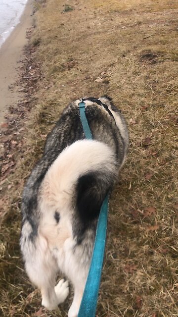 Saturday April 5, My purpose is to give life in all its fullness.