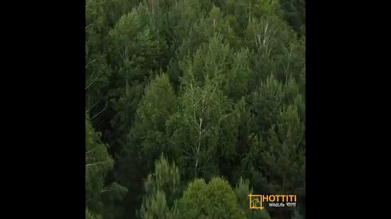 Nature's beauty