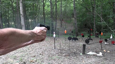 Is This Pistol Too Cheap to Trust?