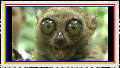 MASS LAYOFFS OCCURING NOW ILLEGALS LOOSE WELFARE IN 3 DAYS - CHAOS