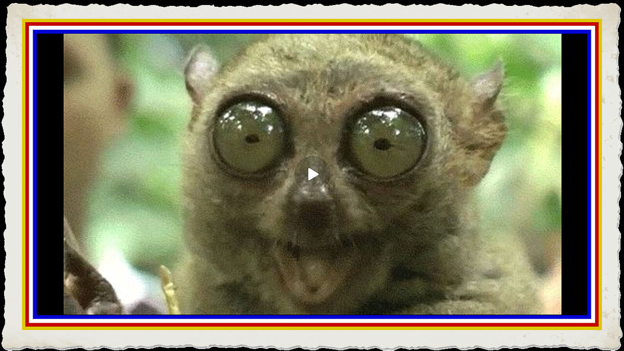 MASS LAYOFFS OCCURING NOW ILLEGALS LOOSE WELFARE IN 3 DAYS - CHAOS