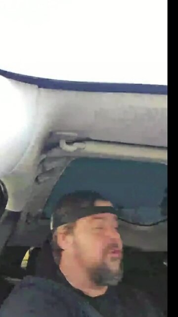 🐜 IN THE 3RD PERSON