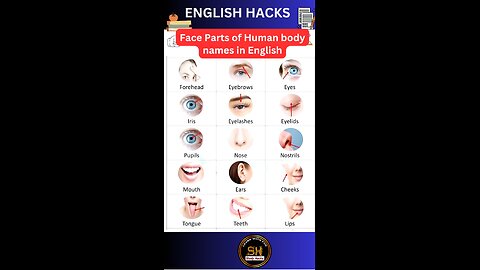 Parts of Face of Human body name in English । Body parts #studyhacks123 #english #body #shorts