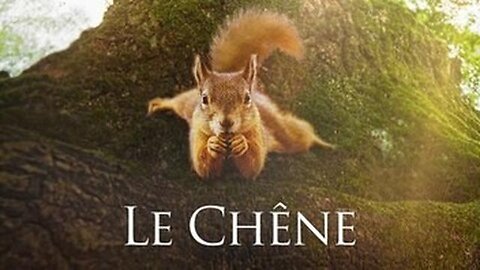 "Le Chêne" (Heart of Oak) 2022