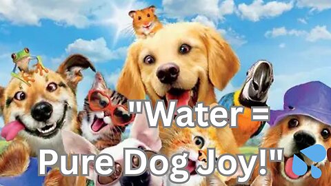 "Water = Pure Dog Joy!" 💦🐶