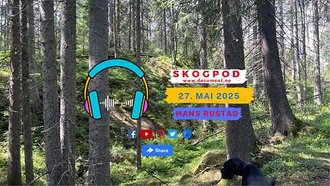 Skogpod 27. mai 2025