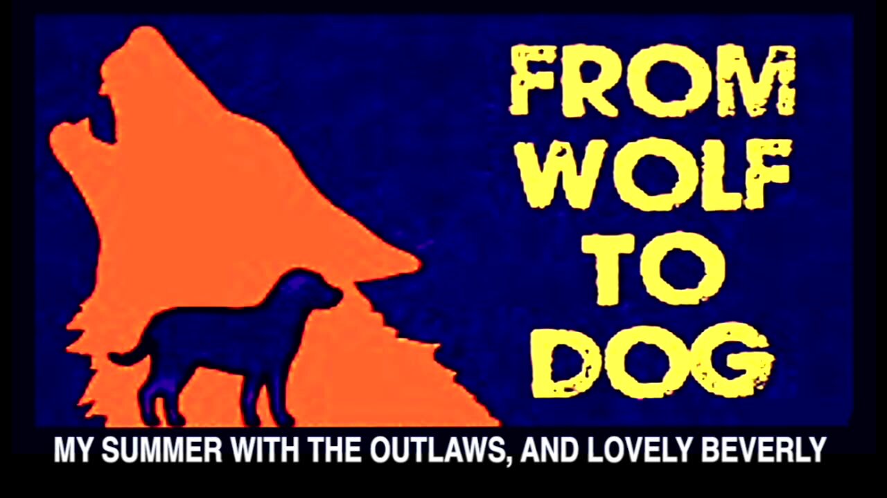 AMAZING STORYTELLER - FromWolfToDog