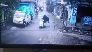 The Bizarre Moment A Bull Mounts And Rides A Scooter In India