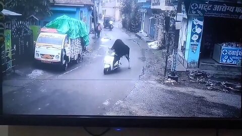 The Bizarre Moment A Bull Mounts And Rides A Scooter In India